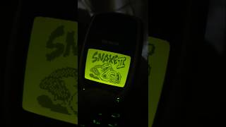 Nokia 3310 and Snake 2 in 2024 be like [upl. by Cod291]