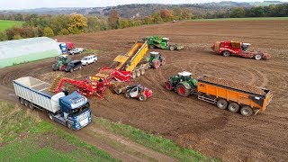 Big Potato Harvest in Belgium  Fendt 1050 amp 1042  AVR Puma  Grimme Varitron  Cleanloader [upl. by Yatnod]