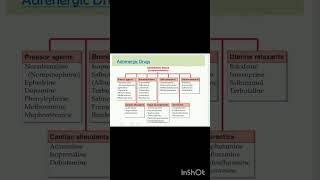 Classification of adrenergic drugs rrb rrb pharmacist [upl. by Pansir418]