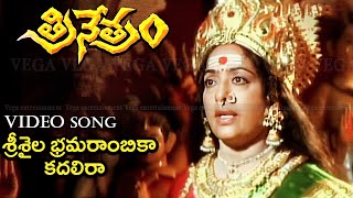 Srisaila Bramarambika Video Song  Trinetram Movie Songs  Raasi  Sijju  Trinetram [upl. by Arst789]