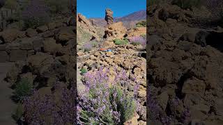 TEIDE ⛰️ Tenerife National Park  The Highest Peak of the Canary IslandsampSpain [upl. by Underwood390]