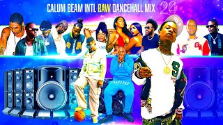 Dancehall Mix 2024  New Dancehall Songs 2024  Dip  TeejayTommy LeeBaykaVybz kartelValiant [upl. by Pylle]