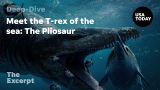 Meet the Trex of the sea The Pliosaur  The Excerpt [upl. by Lasala]