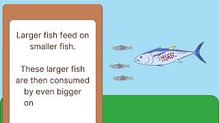 Bioaccumulation How Pollutants Affect Organisms and Their Environmentquot 🌍🐟 [upl. by Beryle]