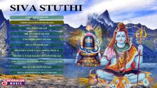 Lord Shiva Devotional Songs  Sivashtakam  Siva Stothram  Shiva Lingastakam [upl. by Franchot790]