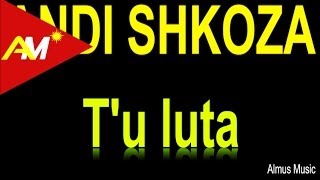 Andi Shkoza  Tu luta Official Lyrics Video [upl. by Edny]