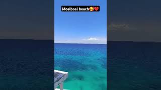 Moalboal beach❤️🥰 [upl. by Yelah]