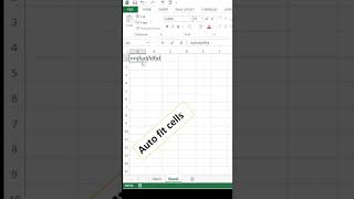 automatic adjust cell column width length  excel [upl. by Slohcin]