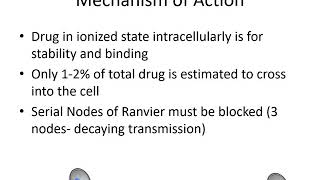 Local Anesthetics Pharmacology  Dr Bauereis [upl. by Ytinirt]