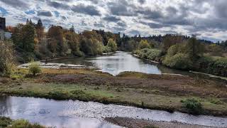 View of the Willamette Slough from the Peter Courtney Minto Island Bicycle and Pedestrian Bridge [upl. by Nyltac331]