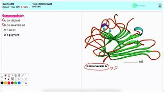 InDepth Review NEET Zoology  Proteins as Essential Biomolecules Functions Structure Q120 [upl. by Enelrak]