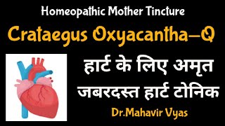 Crataegus OxyacanthaQ  Homeopathic Mother Tincture  DrMahavir Vyas [upl. by Enreval422]