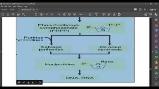 L86 Pyrimidines Synthesis [upl. by Elesig407]