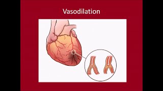 Cardiac Biomarkers [upl. by Leeke]