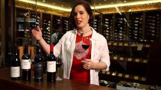 Pinot Noir Merlot Cabernet Sauvignon Shiraz Syrah  Red Wine Guide [upl. by Brendin]