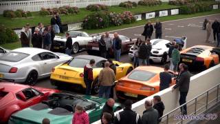 Supercar Lineup  Zonda One77 Agera LP6704SV Veyron etc [upl. by Halac]