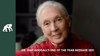 Dr Jane Goodalls End of Year Message 2021 [upl. by Ojyllek]