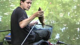 Catching carp on the pole and method feeder [upl. by Regor]