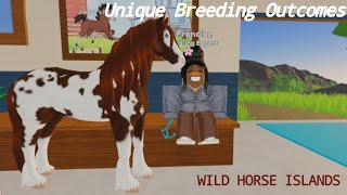 Unique OutcomesSpecial Coats  Combinations amp Breeding WHIWILD HORSE ISLANDS [upl. by Habeh729]