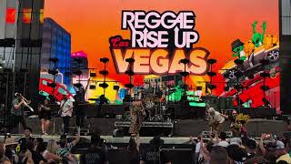 Hire  Reggae Rise Up 2024 [upl. by Bartosch]