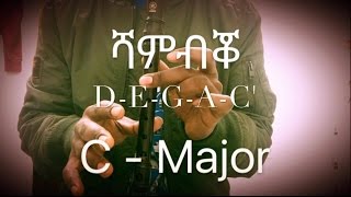 C MAJOR SCALE ነመስግኖ Part1 [upl. by Steffane]