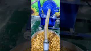 Maize Grinding Machine Disk Mill  Animal Feed Processing Mahcine [upl. by Quickman570]