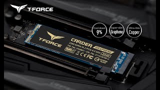 TForce CARDEA A440 Pro Graphene 4TB Review [upl. by Anastas338]