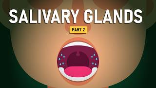 Examining The Salivary Gland Problems  Salivary Glands Part 2 [upl. by Eisserc256]