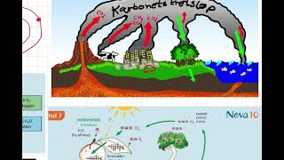 karbonkretsløpet forklart av Kristine [upl. by Stelle]