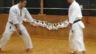 Yamaguchisensei demonstrating kumite techniques [upl. by Nyvar]