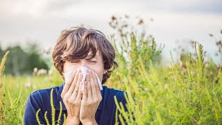 Allergie stagionali non commettere questi errori [upl. by Rozanne949]