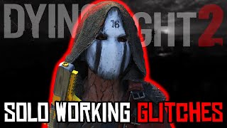 Dying Light 2 Working Solo Glitches Patch 118 [upl. by Barnabas]