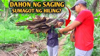 DALAGA SA GUBAT NAGULAT SA LAMAN NG DAHON NG SAGING [upl. by Tarryn515]