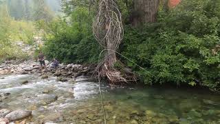 Fly Fishing the Stehekin River in the backcountry of North Cascades National Park 3 [upl. by Yunfei22]