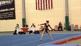 Jillian Ambler Floor Routine Leatherstocking Invitational 2016 [upl. by Jentoft169]