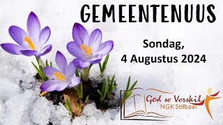 Gemeentenuus vir 4 Augustus 2024  Stilbaai NG Gemeente [upl. by Alison528]