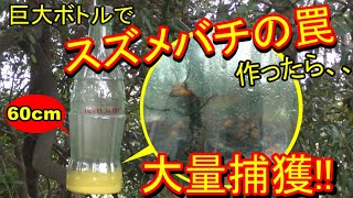 巨大なスズメバチの罠を作って大量捕獲、駆除 トラップ Japanese giant hornet trap 害虫駆除 lebah オオスズメバチ捕獲 60cm 巨大ボトル [upl. by Amorette]