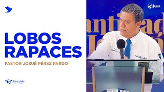 Lobos rapaces  Pastor Josué Pérez Pardo [upl. by Ellemrac696]