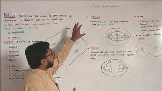 Mitosis  Prophase  Metaphase  Anaphase  Telophase  FScBiology [upl. by Aires]