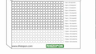 Rhizopon AA comprimés pour les boutures de Vitis vinifera [upl. by Yrrehs]