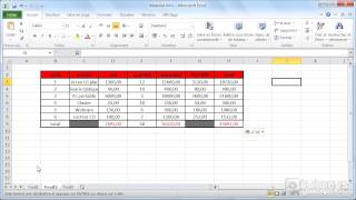 Comment copier et coller des données avec Excel 2010 [upl. by Durtschi28]