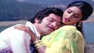 Guru Sishyulu Telugu Movie Songs  Cheyyi Paddadi  ANR  Krishna  Sridevi  Sujatha [upl. by Aneeroc]