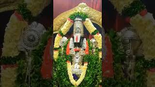 Sri niwasa Govinda tirupati tirupatibalaji tirumala viralreels viralvideo viralshorts shorts [upl. by Rucker]