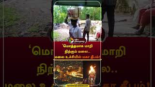 மொத்தமாக மாறி நிற்கும் மலை மலை உச்சியில் மகா தீபம்  tiruvannamalai mahadev  shorts [upl. by Notnerb]