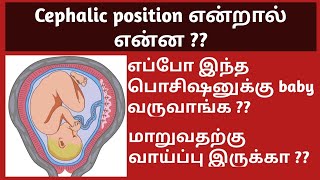 what is cephalic position of fetus in Tamil When baby change to cephalic position during pregnancy [upl. by Azalea552]