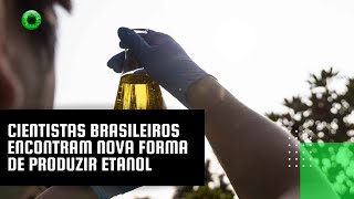 Cientistas brasileiros encontram nova forma de produzir etanol [upl. by Betteann]