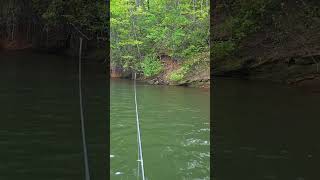 Lake Lanier Topwater Is Best in Slow Motion [upl. by Essyla369]