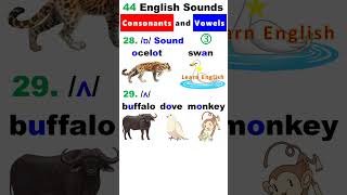 44 English Sounds 3  Consonants and Vowels [upl. by Alexio]