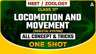 LOCOMOTION AND MOVEMENT ONE SHOT  SKELETAL SYSTEM  NEET 2024  ALL CONCEPTS amp TRICKS SANKALP [upl. by Adiuqal292]