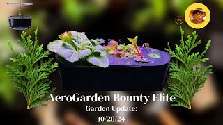 AeroGarden Bounty Elite Update 102024 [upl. by Elva]